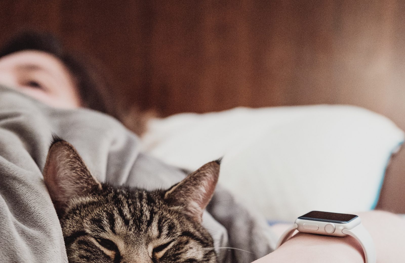 Assurance Chat