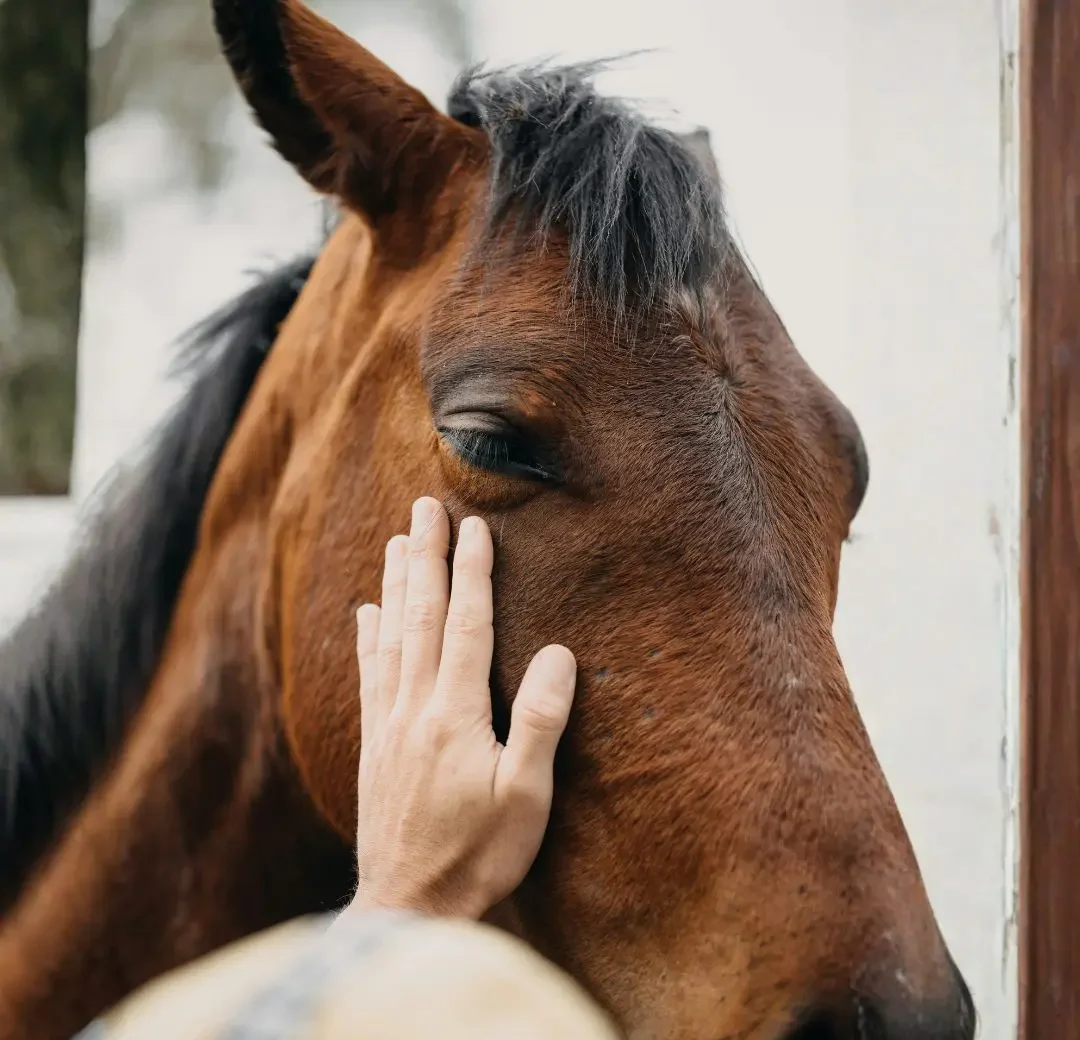 Assurez chaque foulée, protégez votre rêve